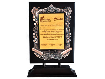 Distinguished Partner Award From Airtel